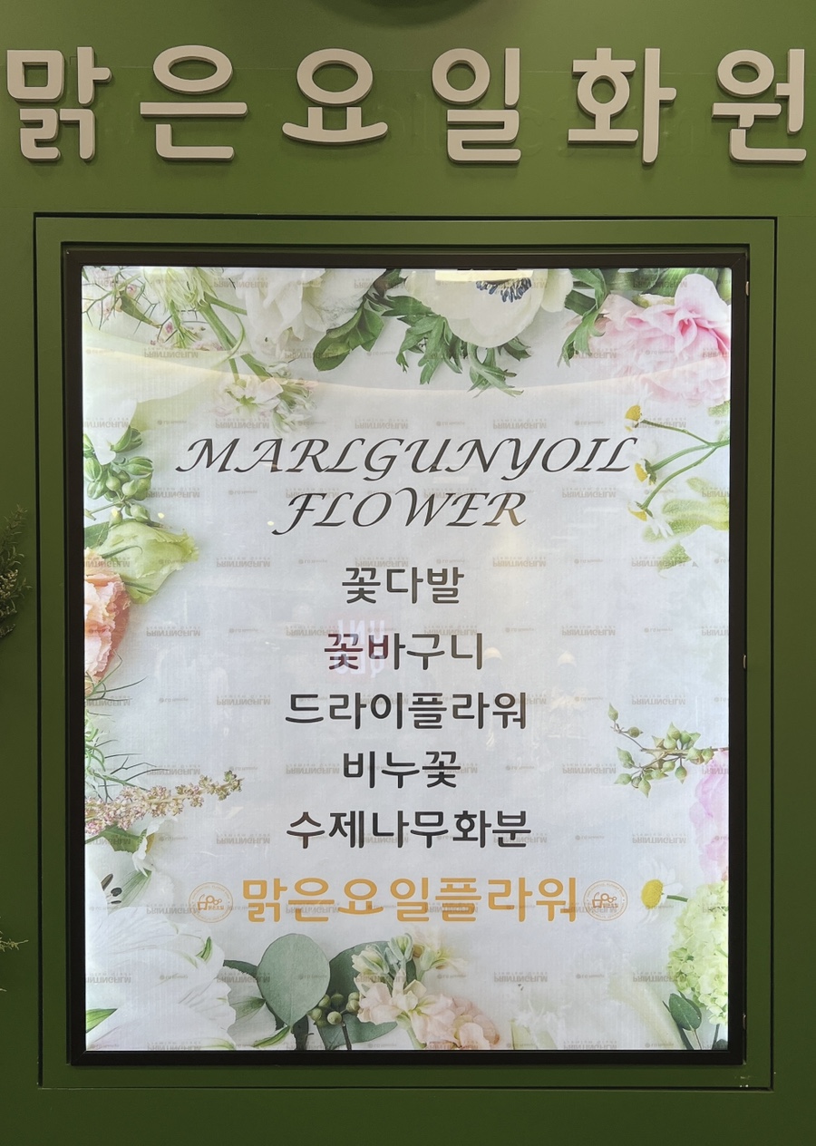 맑은요일 이미지