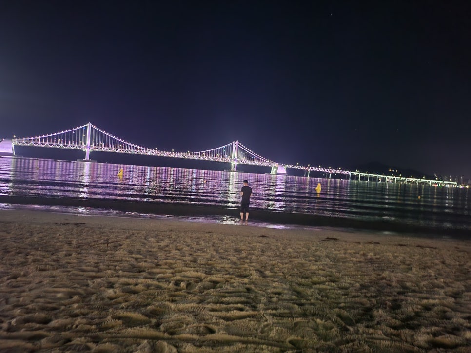 페가스코리아 이미지