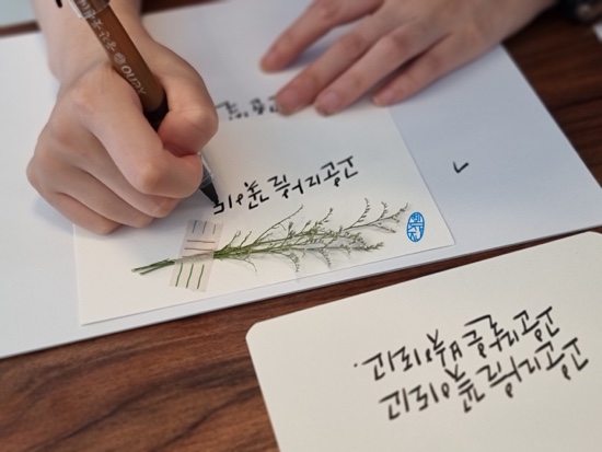 일상다글씨 이미지