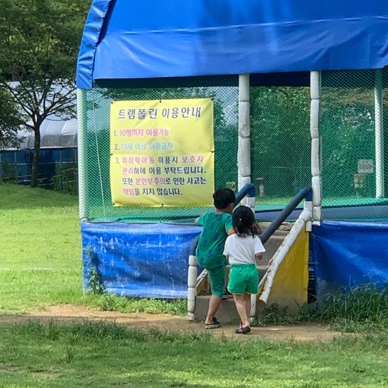 숲속의 베리팜 이미지
