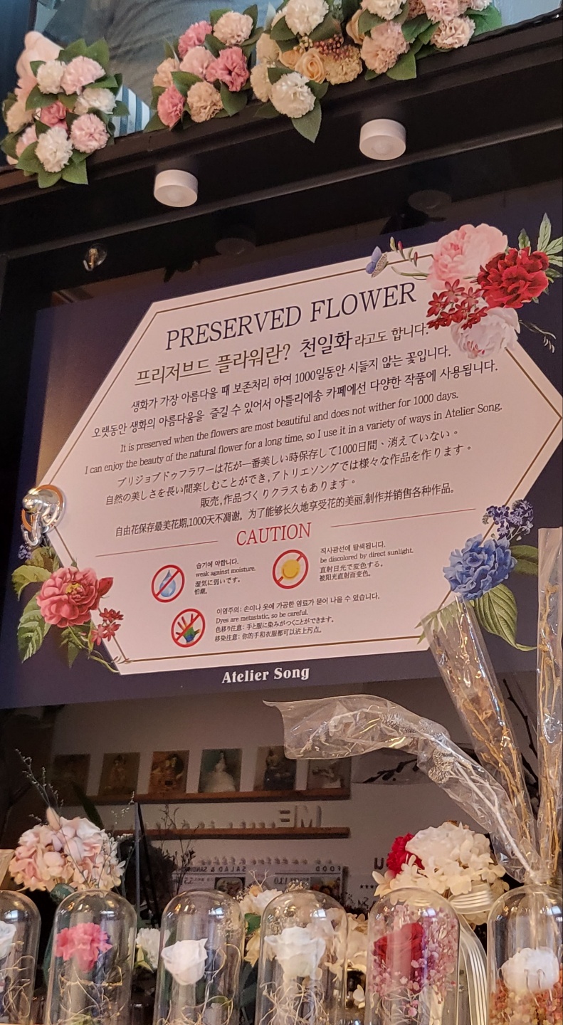 아틀리에송 이미지