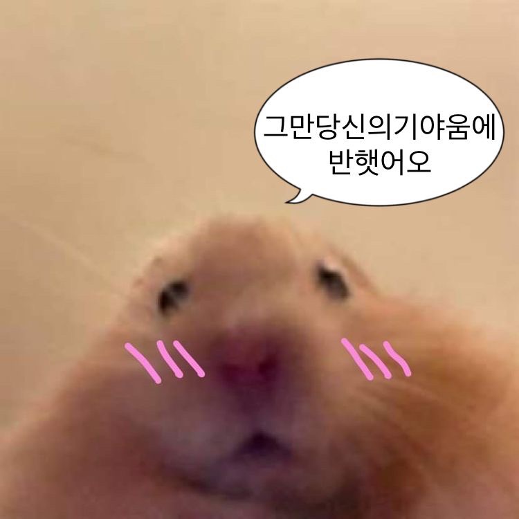 클랩빈 이미지