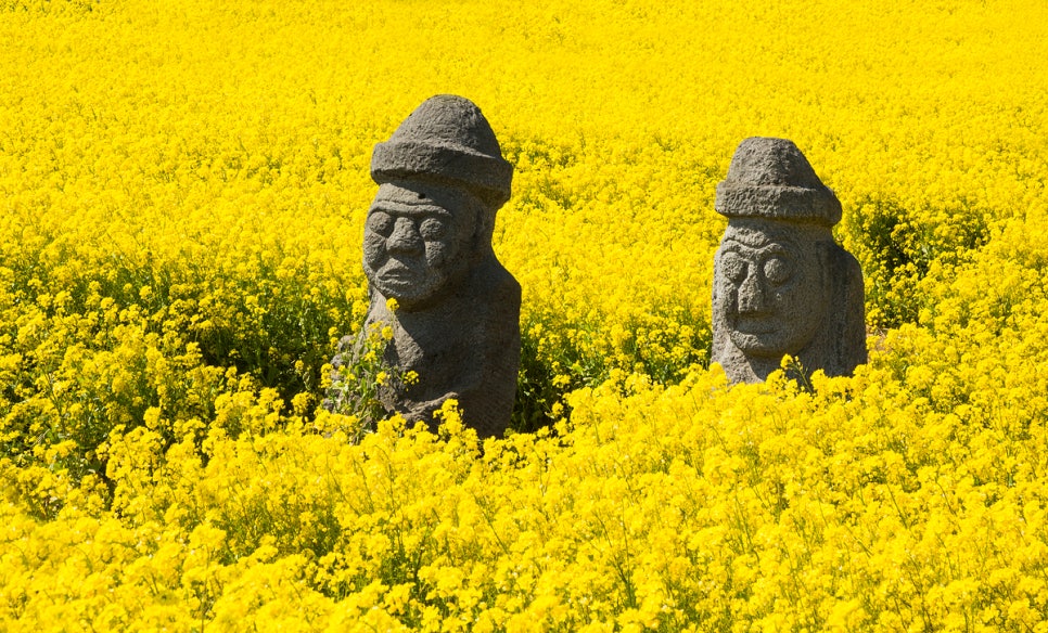 (주)동행여행사 이미지