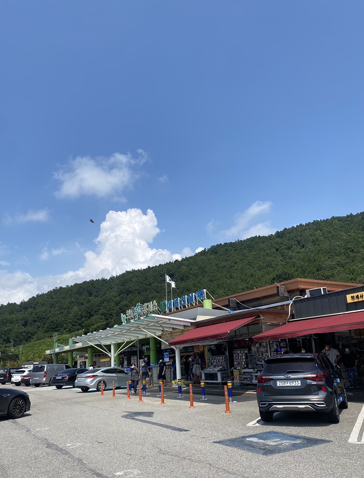 하시카츠 이미지