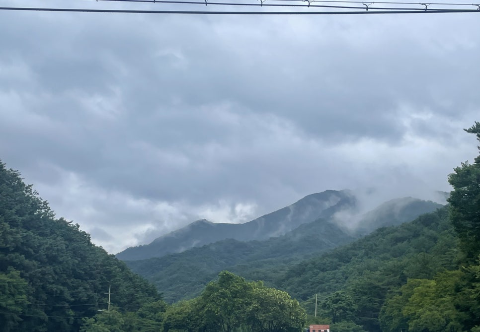 이홍삼계탕 이미지