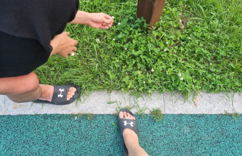 와와호프 이미지