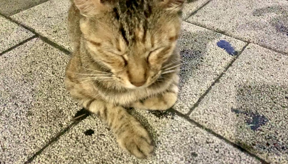 (주)정안에너지 이미지