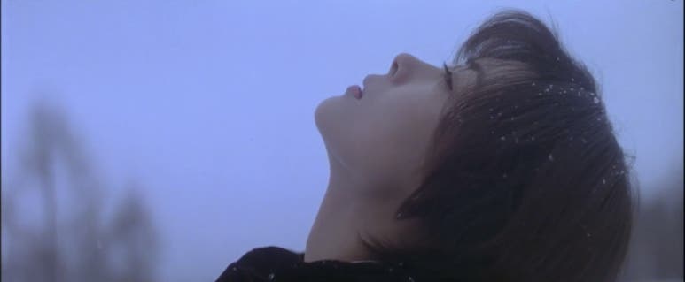 러브레터 이미지