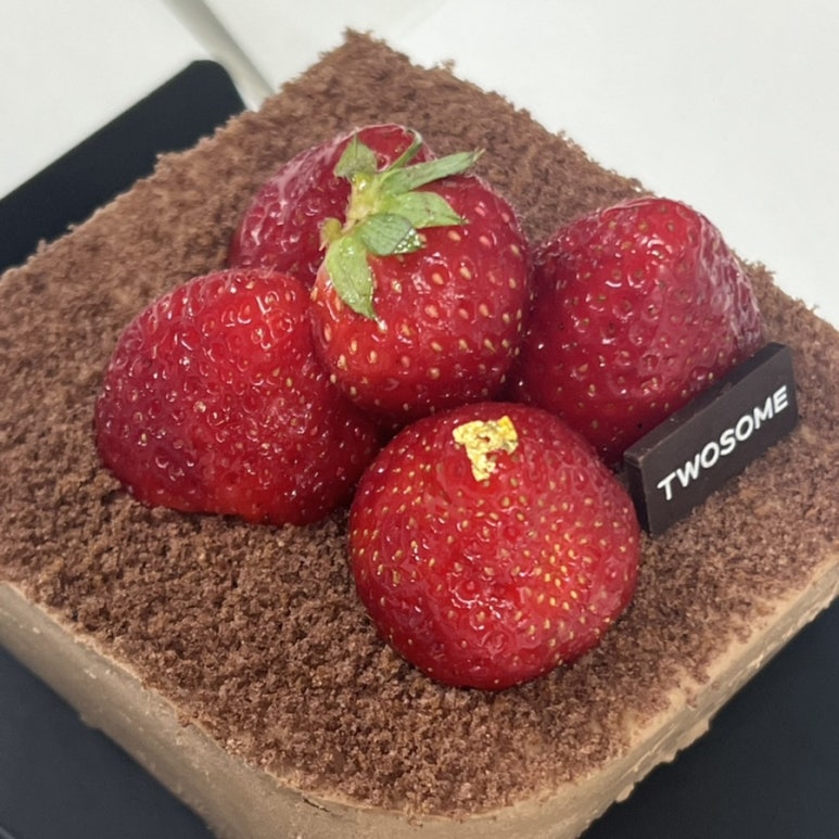 핫쨈동전노래연습장 이미지