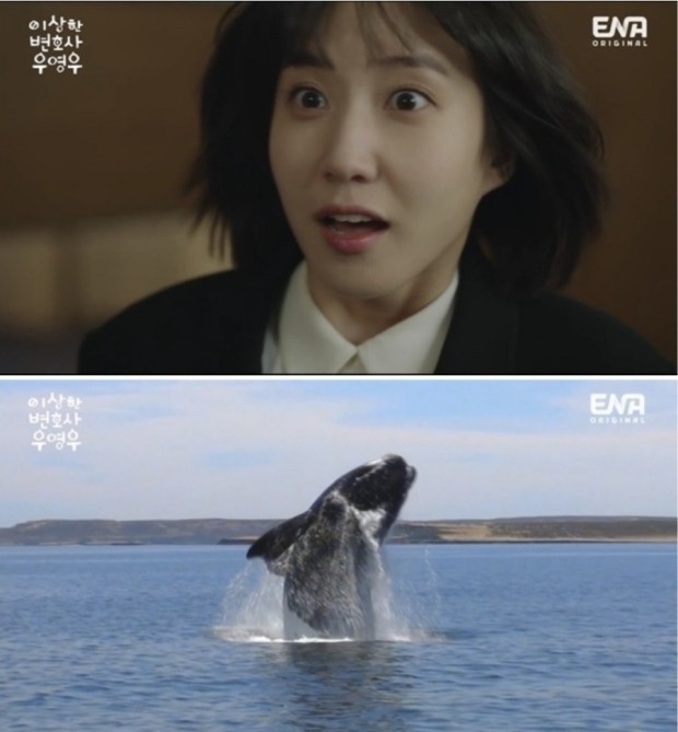 시민제과 이미지