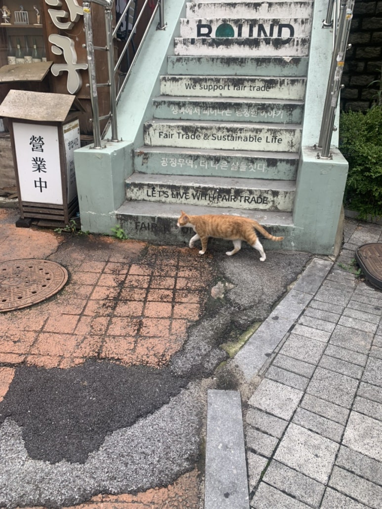 카페 루틴 이미지