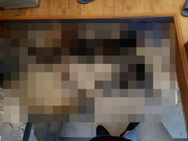 곰치생태전문점 이미지