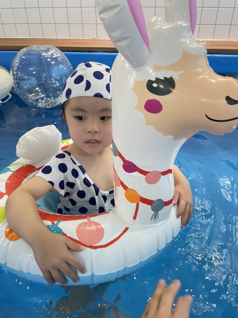 양튜브 이미지