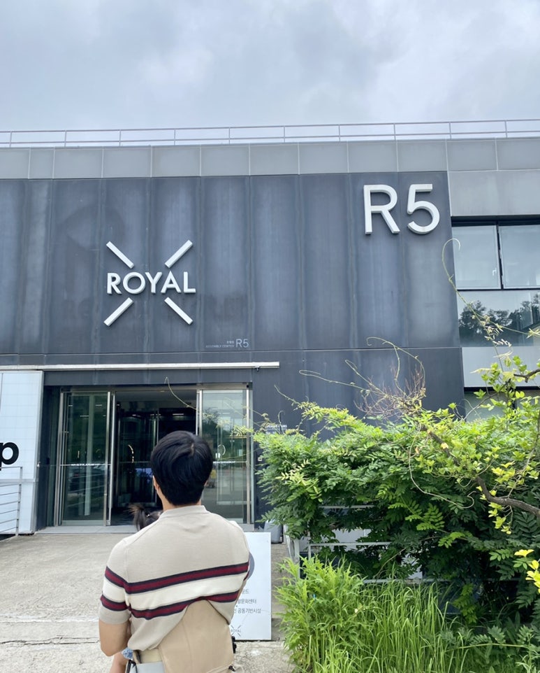 로얄엑스(ROYAL X) 이미지