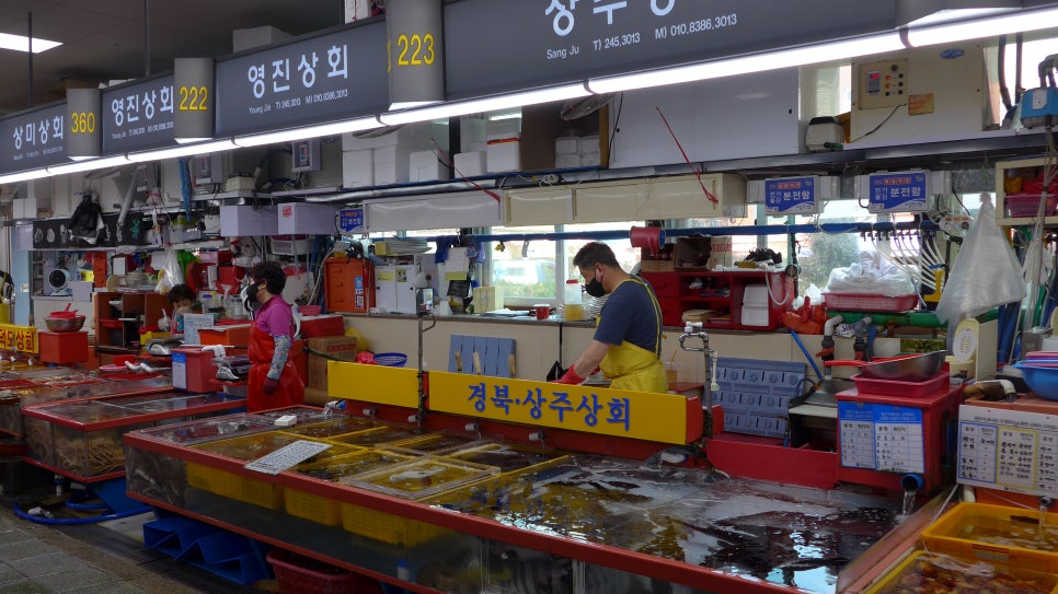 영진상회 이미지