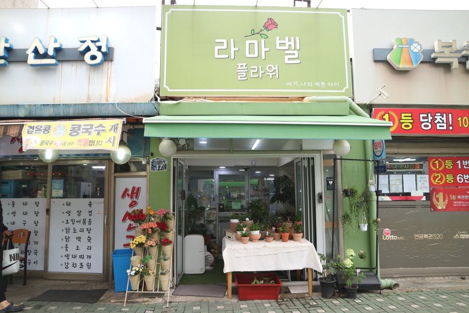 라마벨플라워 이미지