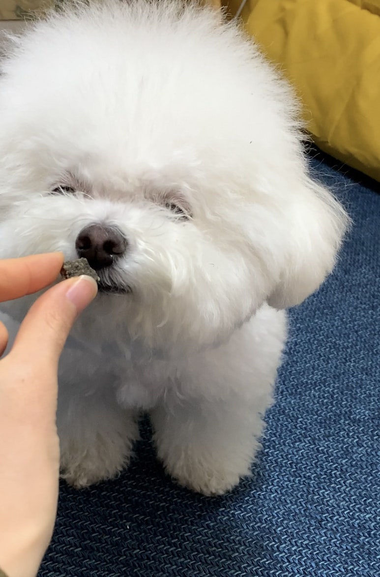 유일청정생고기 이미지