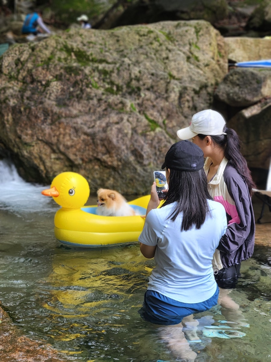 청학소풍 이미지
