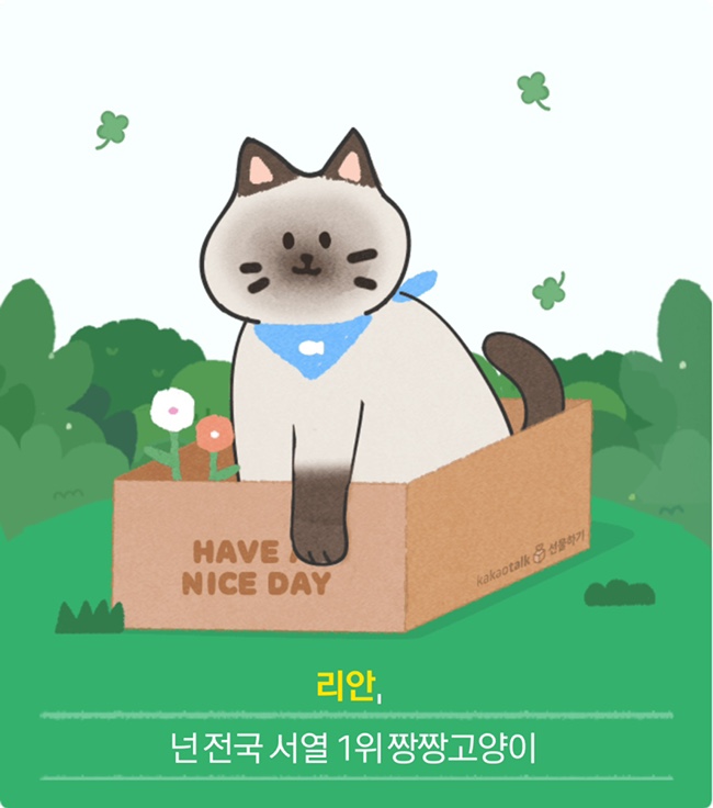 팀메리 이미지