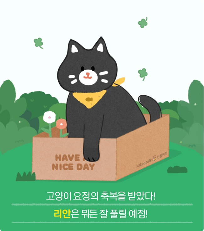 팀메리 이미지