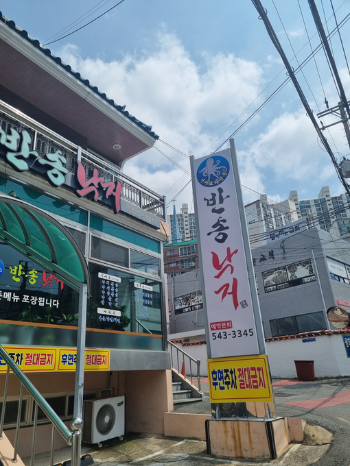 반송낙지 이미지