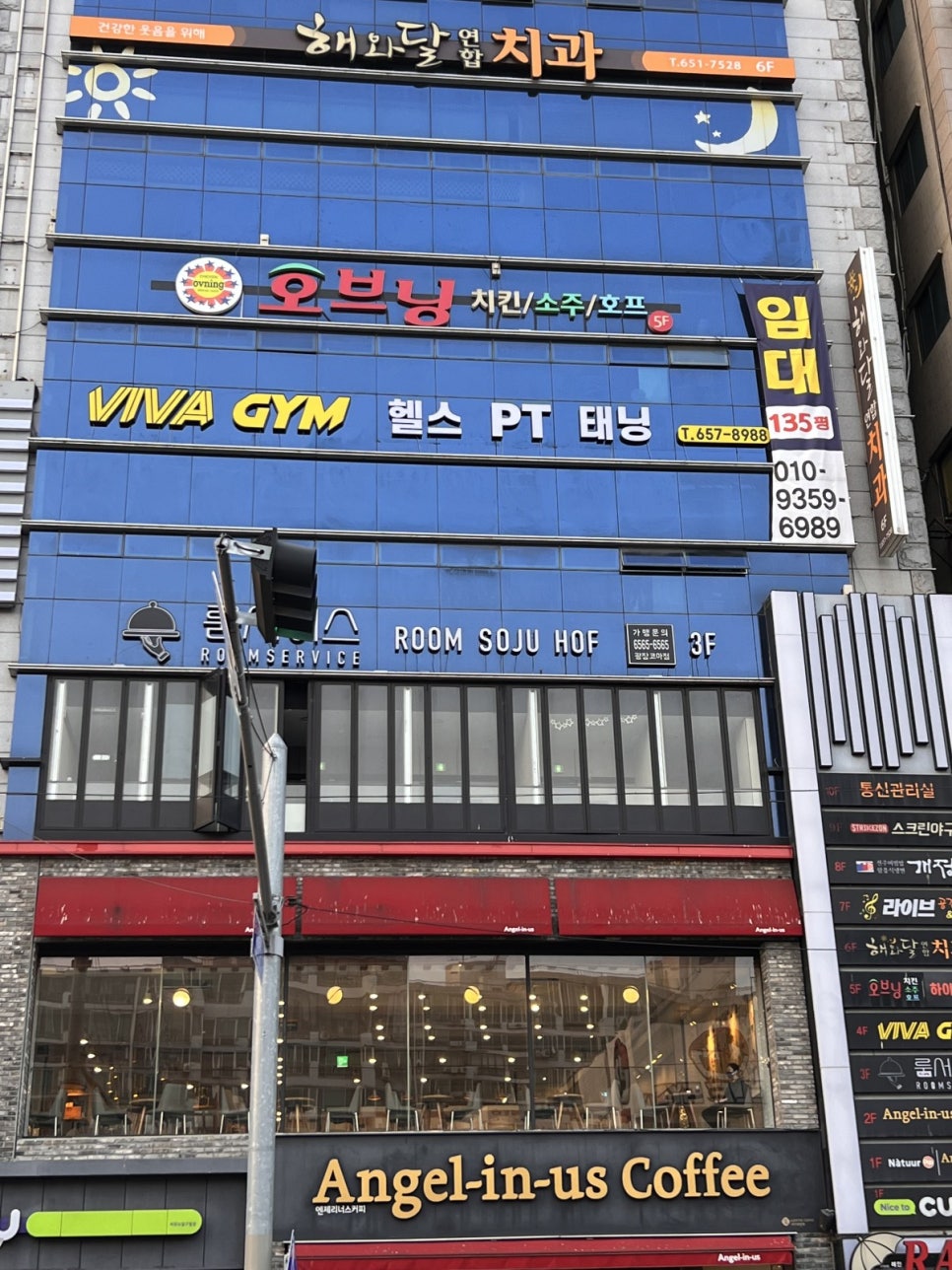 비바짐 이미지