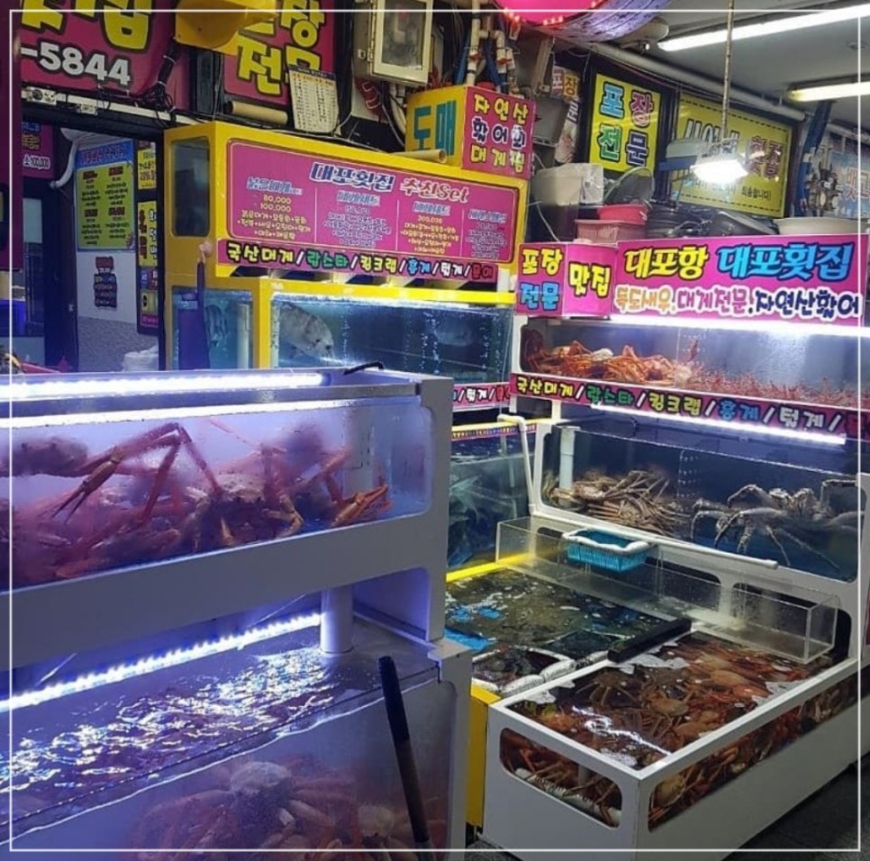 롯데횟집 이미지