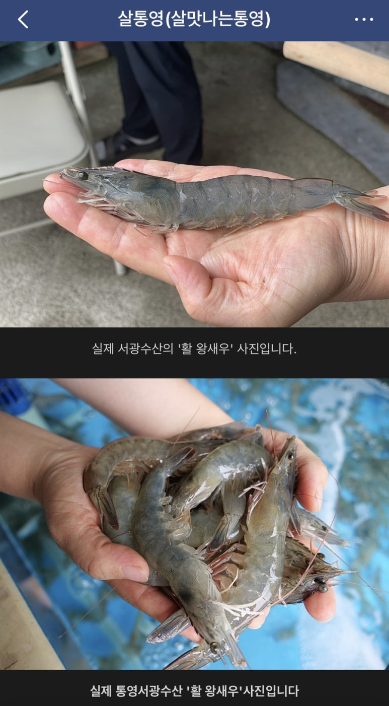 통영서광수산 이미지