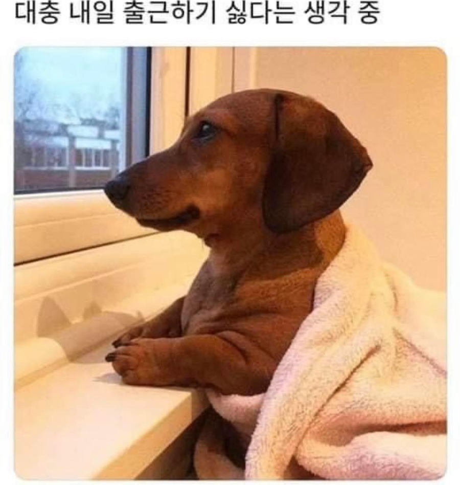 난다방 이미지