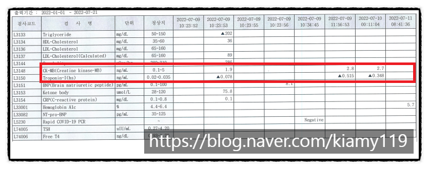 법무법인내일파트너스 이미지