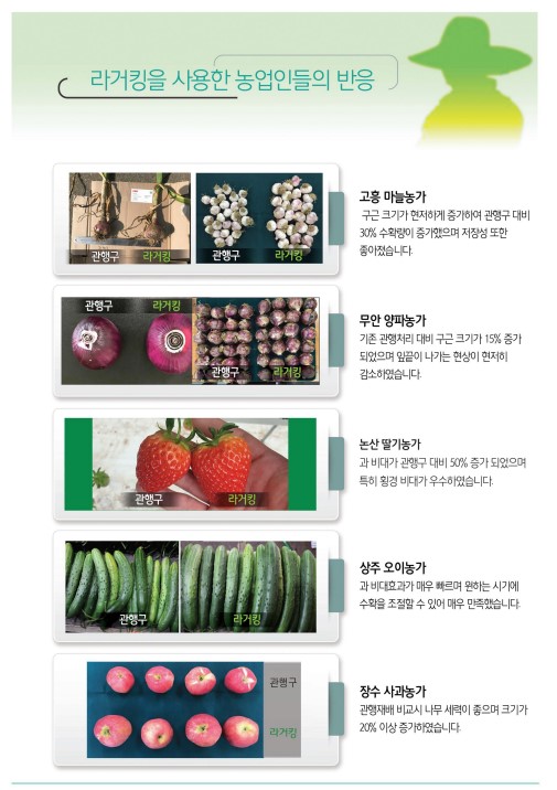 흥농농약종묘 이미지