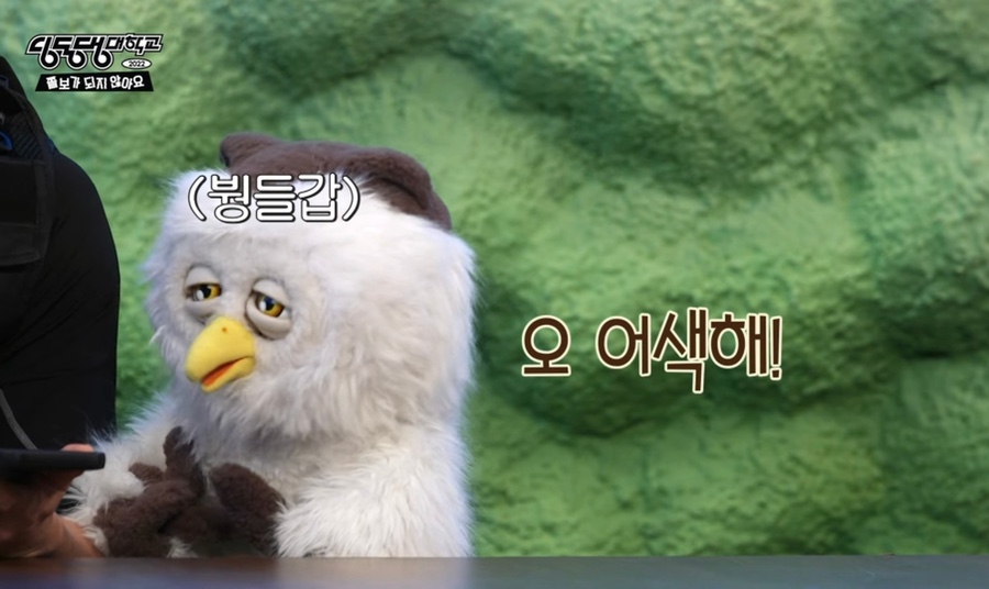 샤샥클린 이미지
