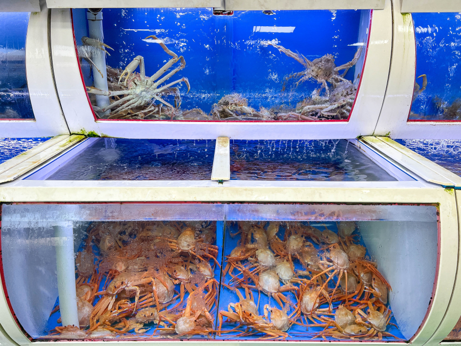 수산식당 이미지