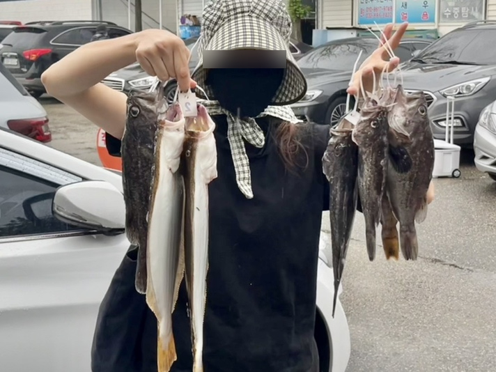 레드펄스시화점 이미지