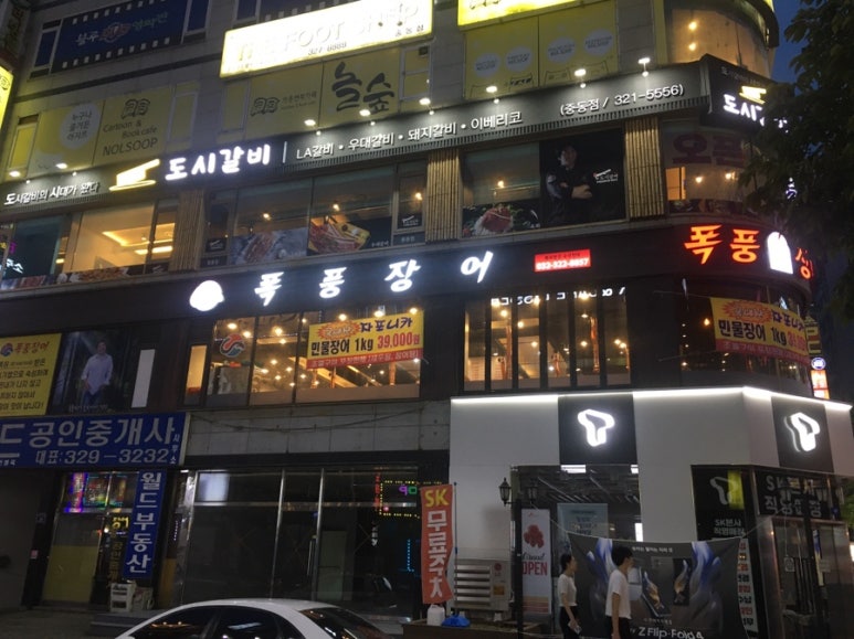 폭풍장어중동 이미지