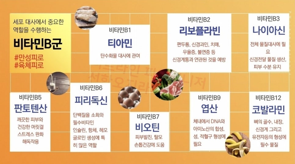 맨플러스 이미지