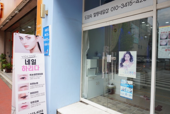네일;하리다 이미지