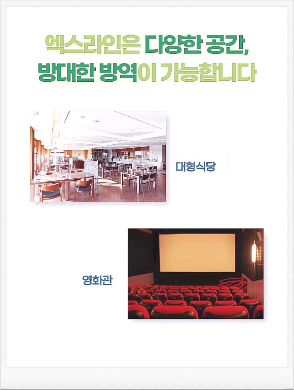 엑스라인방역 이미지