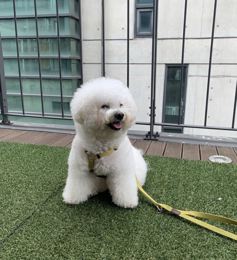 앨리캣폴스튜디오 이미지