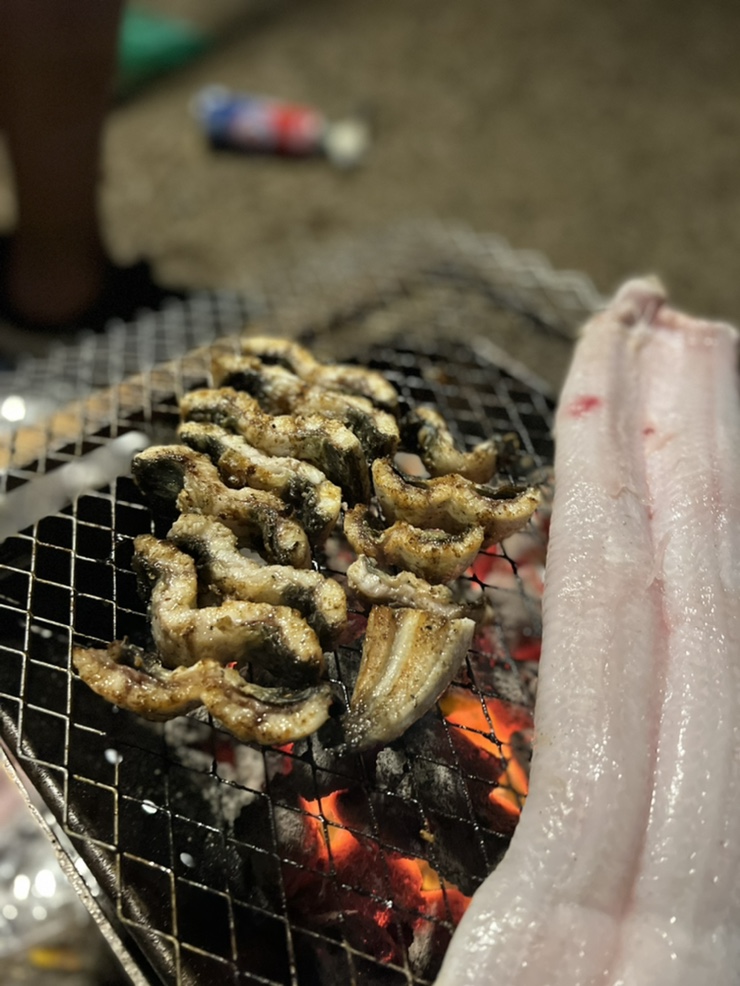 피톤치드캠핑장작 이미지