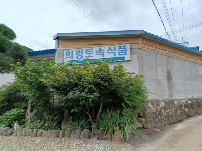 토속식품 이미지