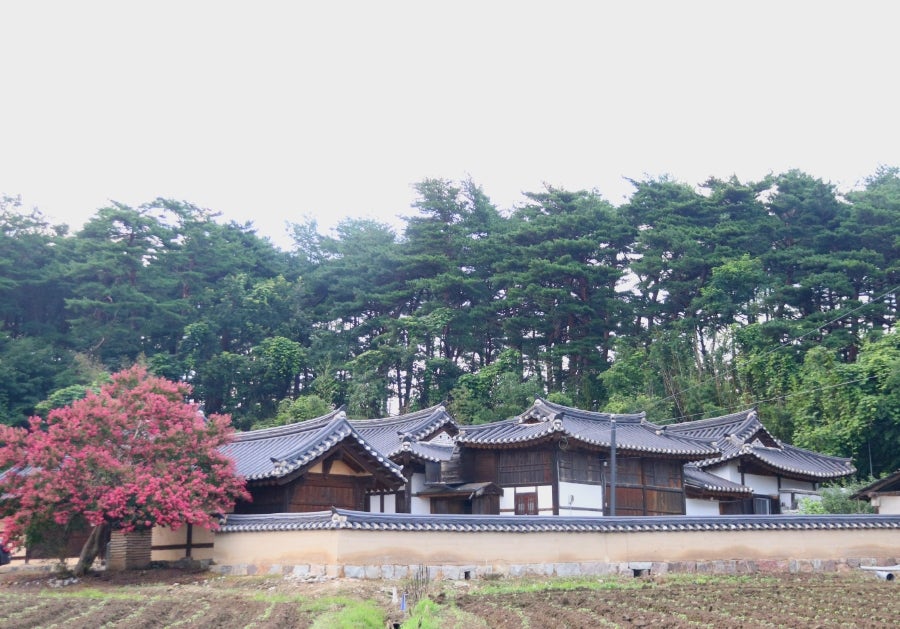 동원최군 이미지