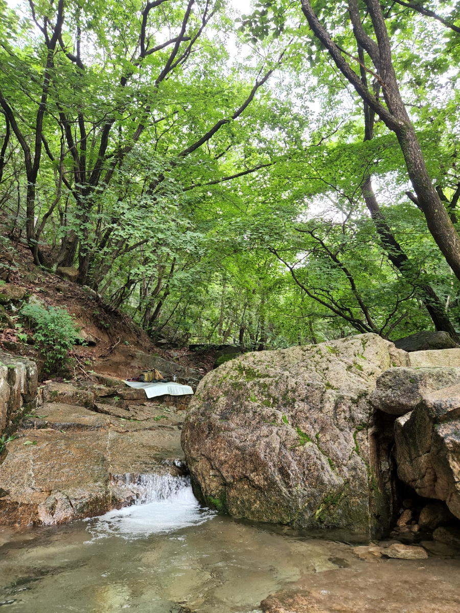 청학소풍 이미지