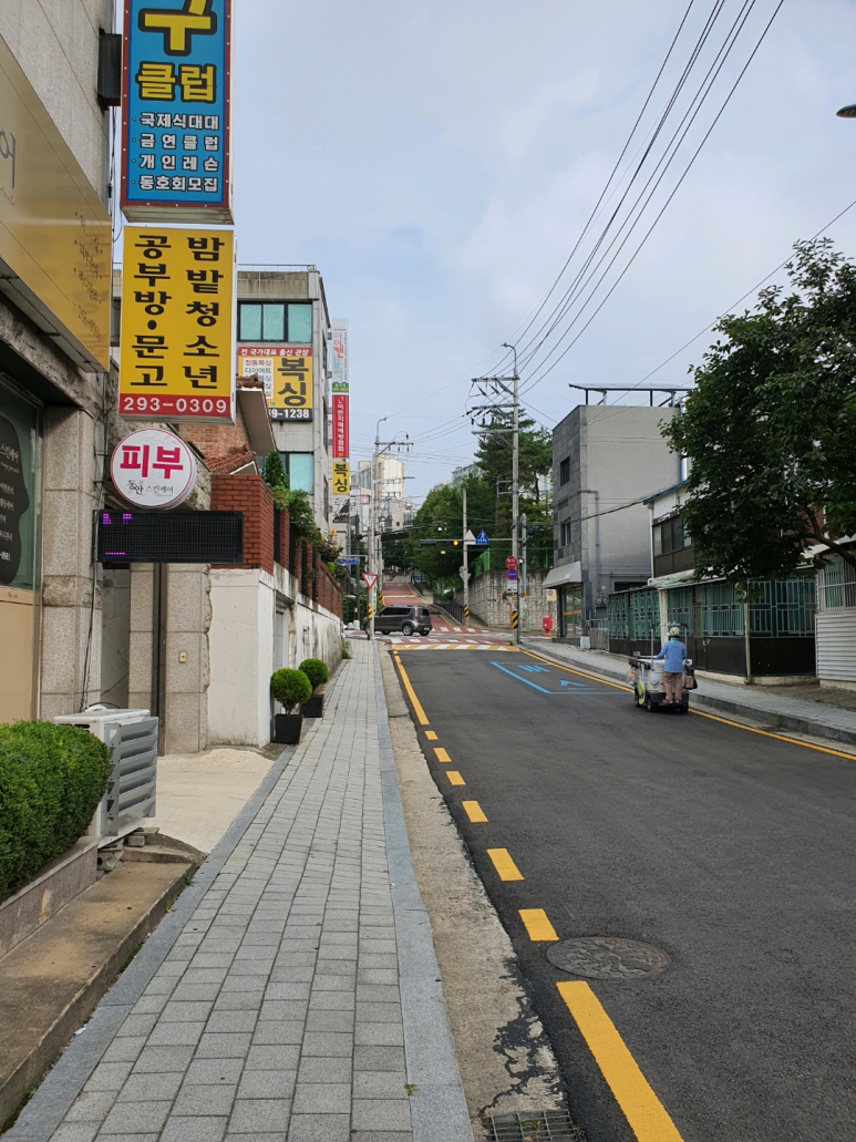 벨라지다 이미지