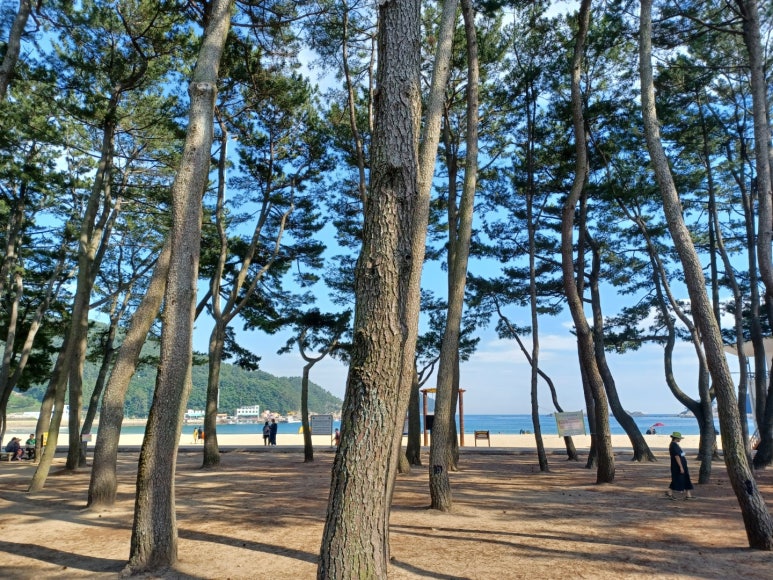 우리집같은민박 이미지