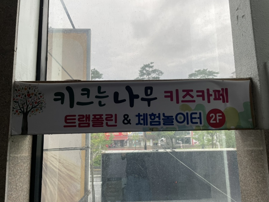키크는 나무 이미지