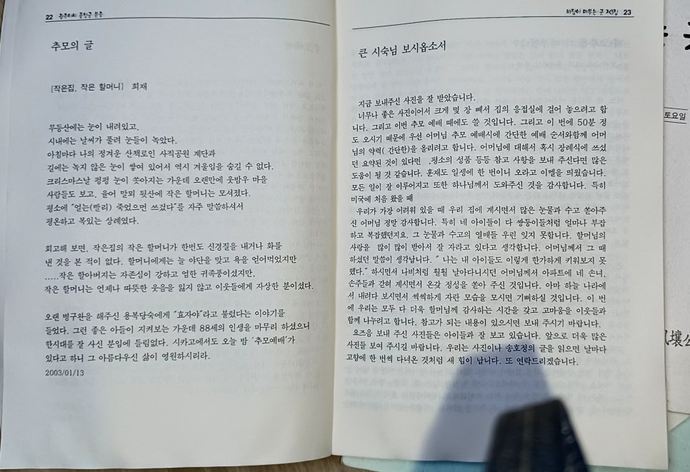 씨어 이미지