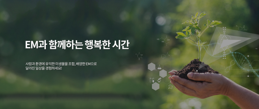 로하스에버 이미지