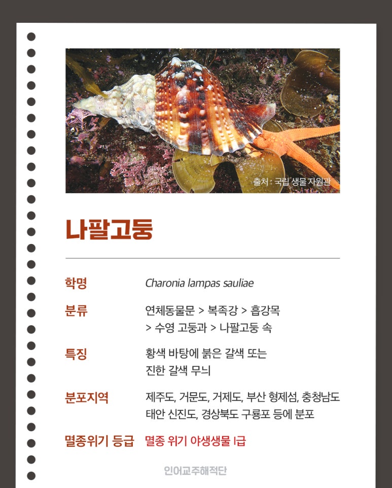 나팔횟집 이미지