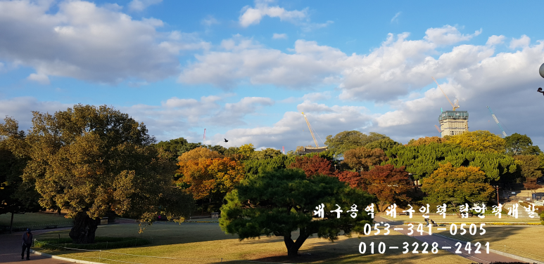 탑 직업소개소 이미지